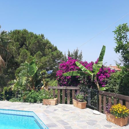 Villa Suites Lagonisi Luxury 外观 照片