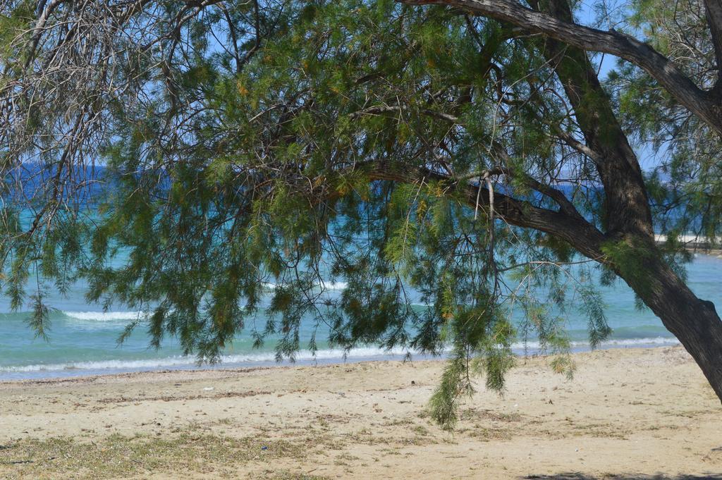Villa Suites Lagonisi Luxury 外观 照片